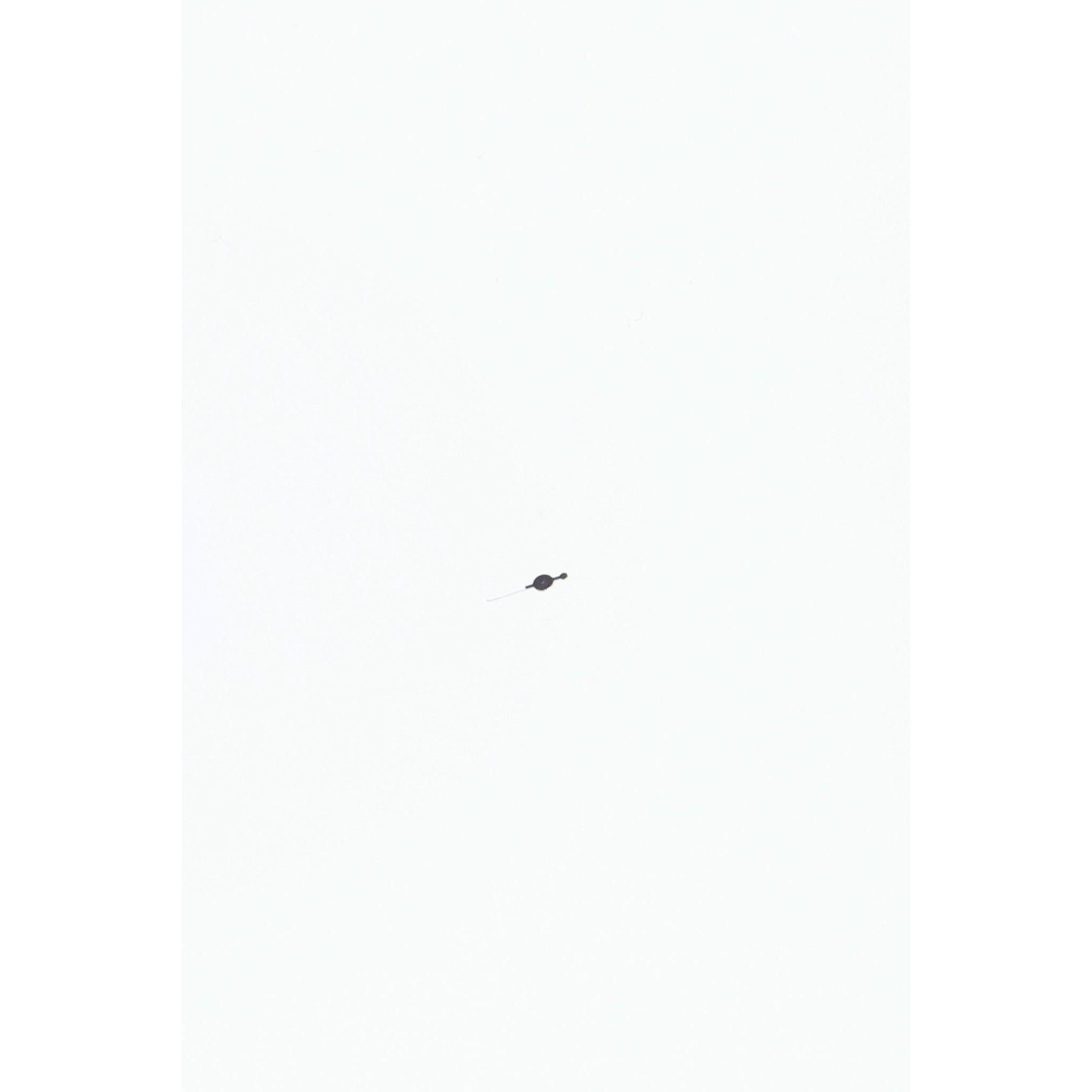 Seiko 04E11EBM Minute Hand WBZ013, WBZ024 & WBZ031 - Watch Plaza